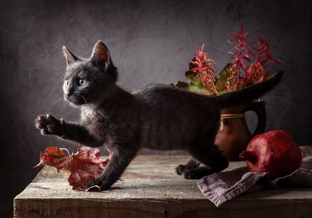 Photograph by Ирина Толокновская