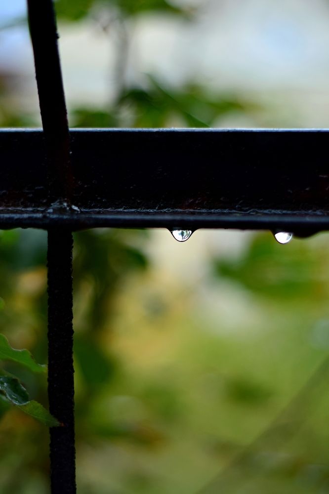 Photograph by Виктория Федосеенко