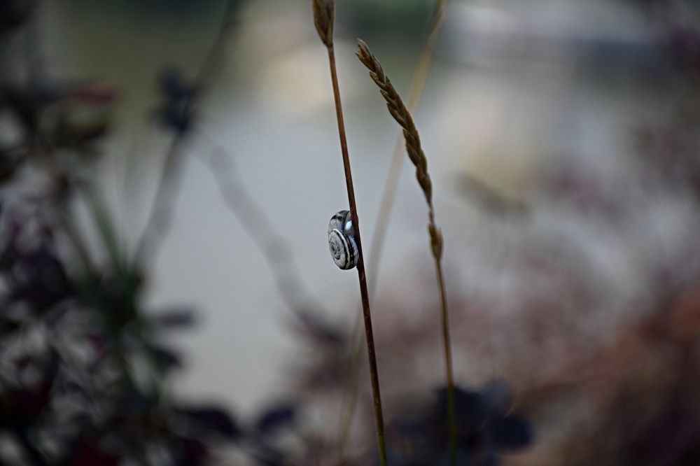 Photograph by Виктория Федосеенко