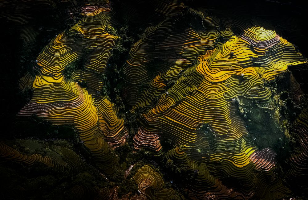 Photograph by Lê Huy Anh