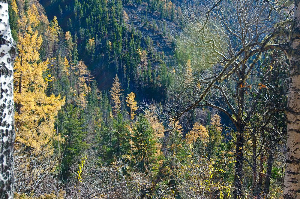 Photograph by Юрий Самойлов