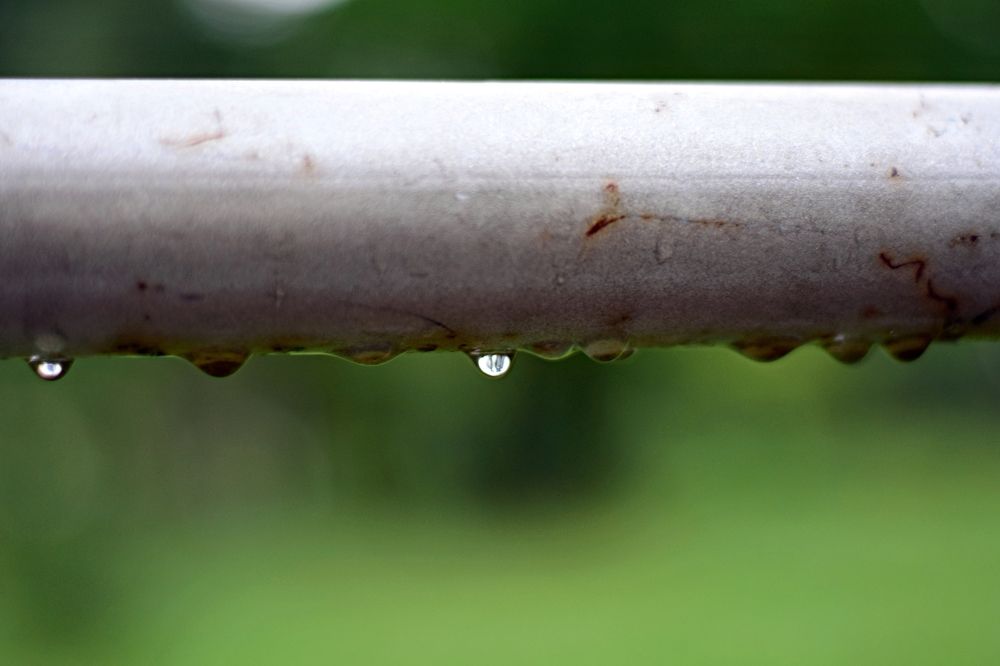 Photograph by Виктория Федосеенко