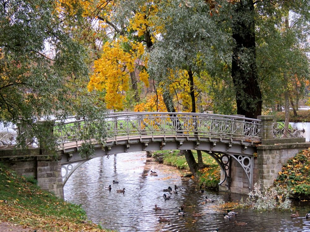 Осень в Дворцовом парке.