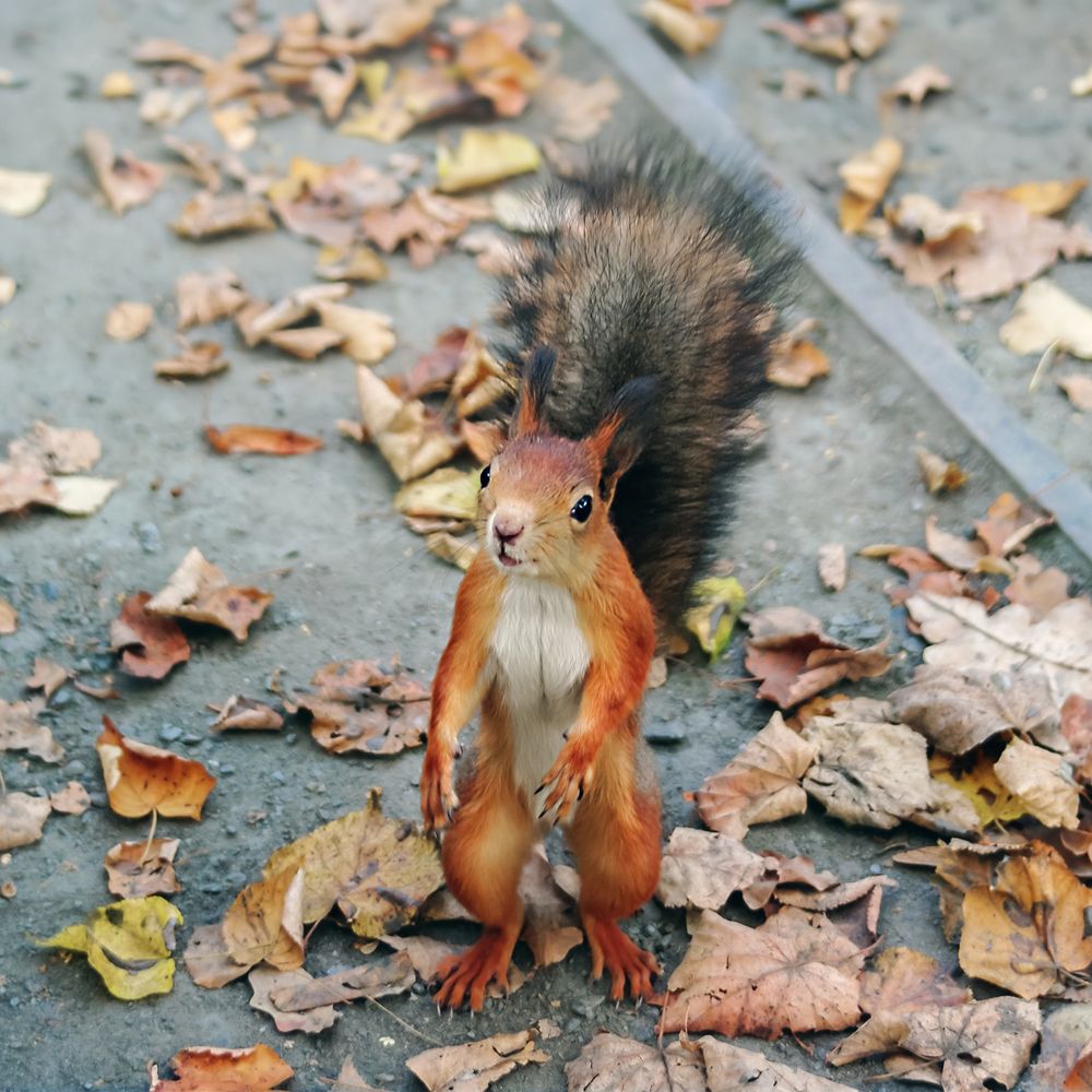 Photograph by Ирина