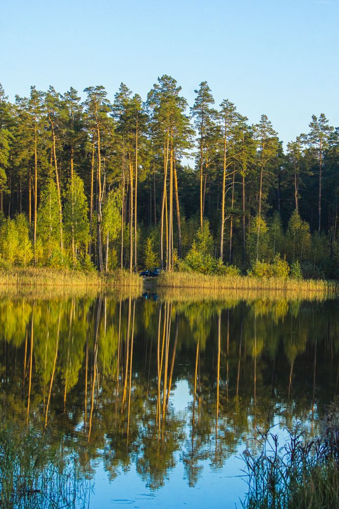 Photograph by Екатерина Бахтинова