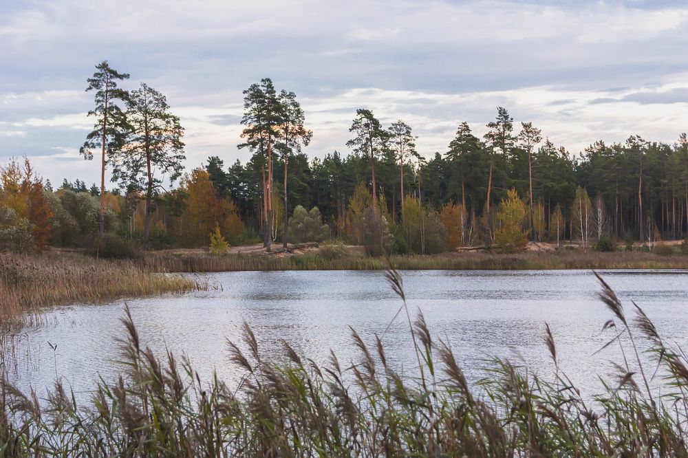 Photograph by Екатерина Бахтинова