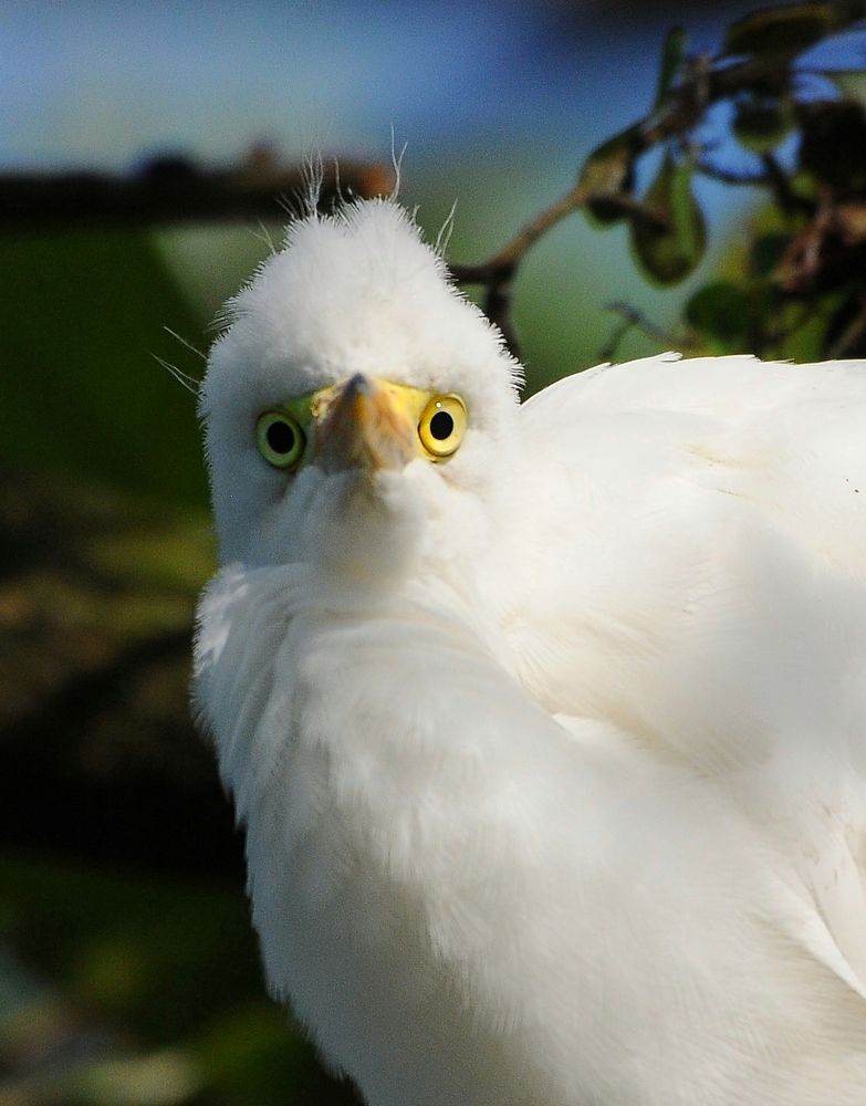 Photograph by George S George