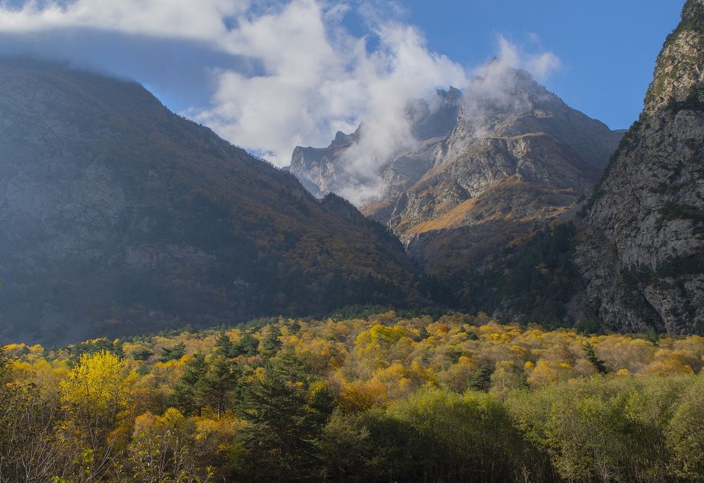 Фотография автора Ирина Шипунова