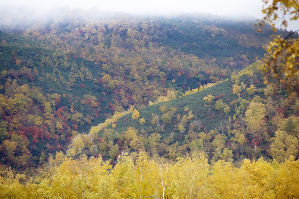 Photograph by Галина Ильясова