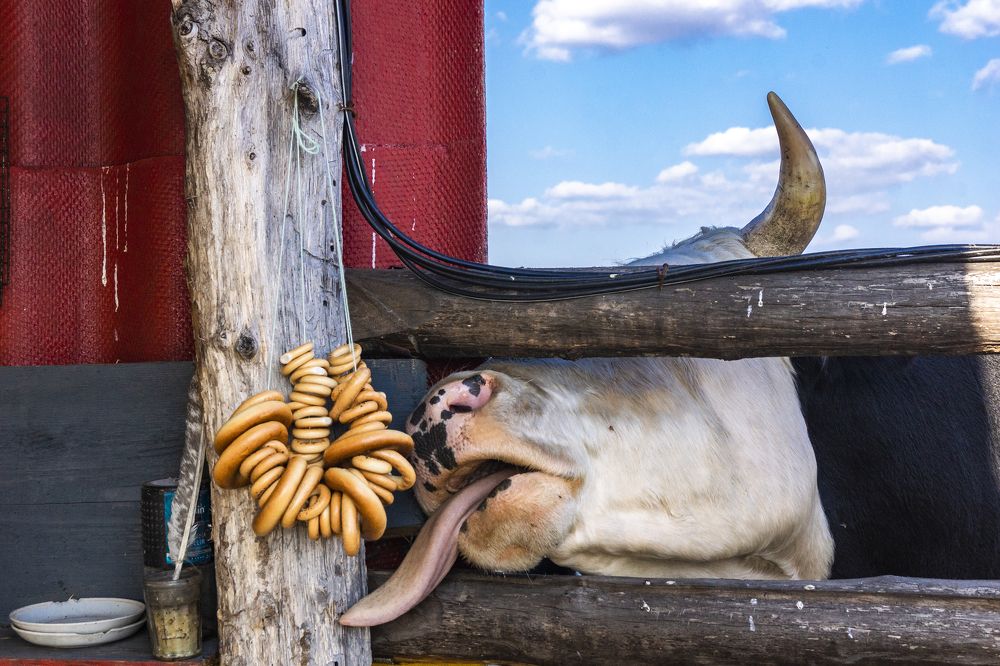 Photograph by Екатерина Бахтинова