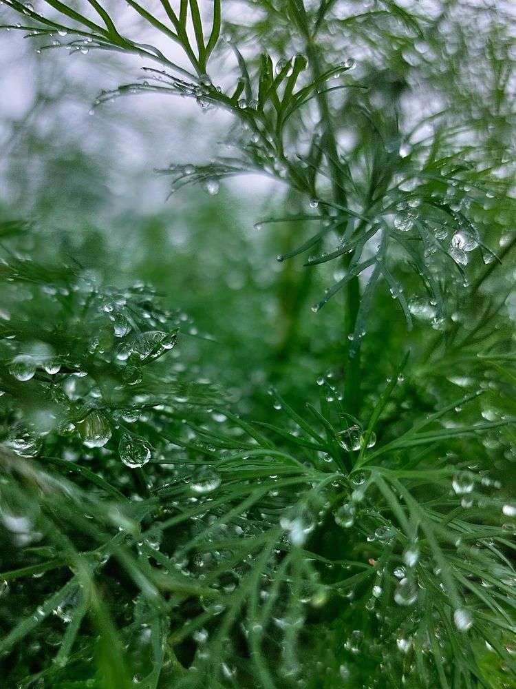 Photograph by Татьяна