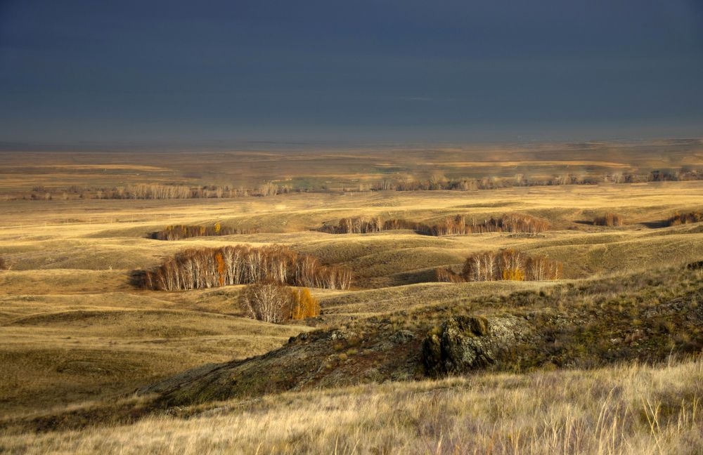 Photograph by Галина Ильясова