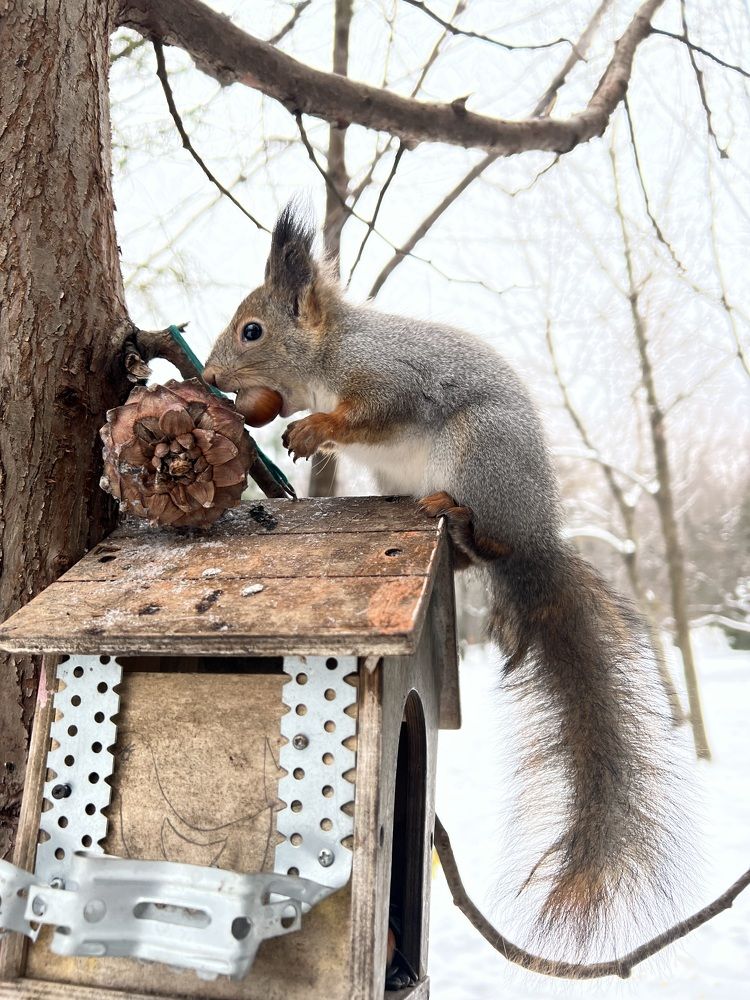 Photograph by Ирина