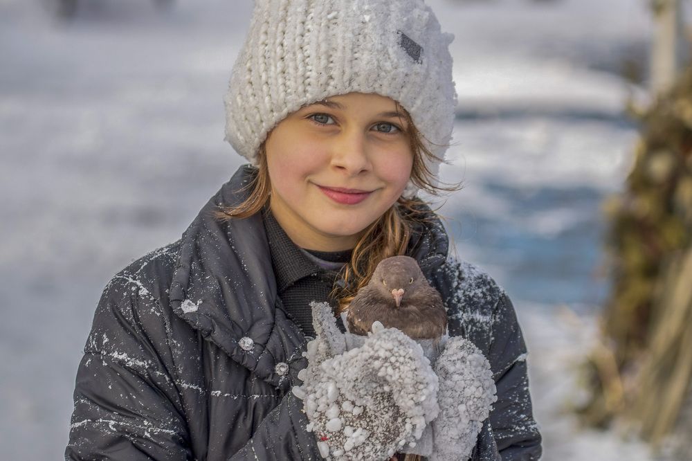 Photograph by Игорь Квочка