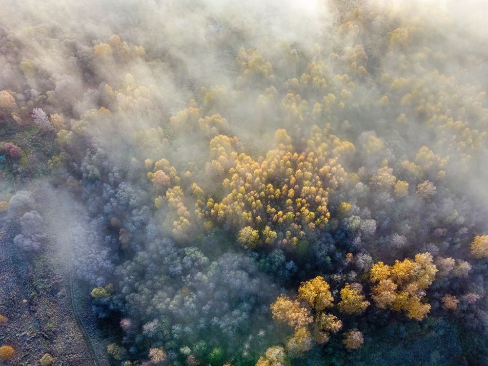 Осенний рассвет