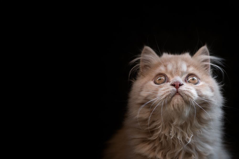 Photograph by Natalia Hidalgo