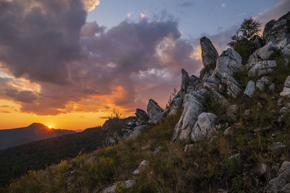 Photograph by Елена Перминова