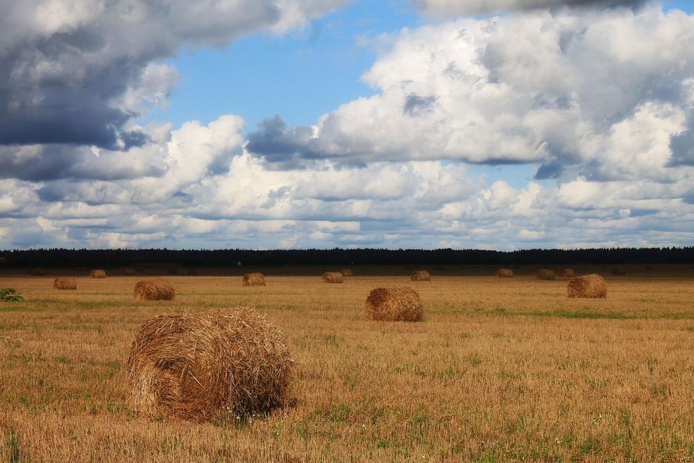 Photograph by Алла Бойко