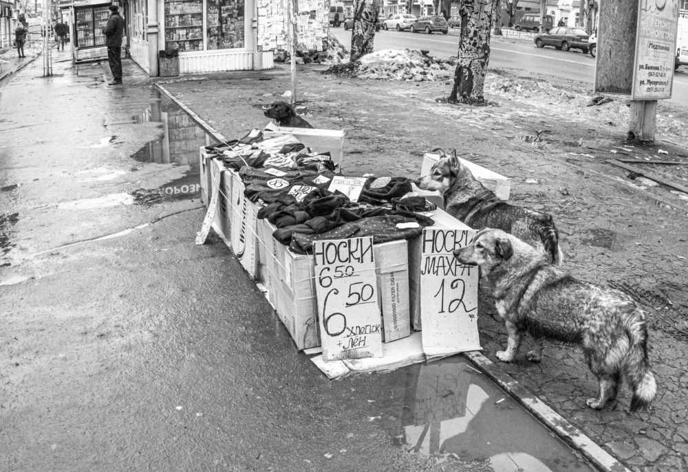 Photograph by Игорь Квочка