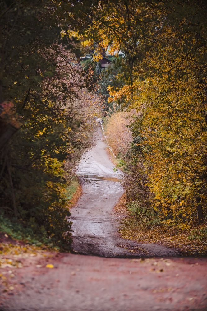 Photograph by Екатерина Степоненкова