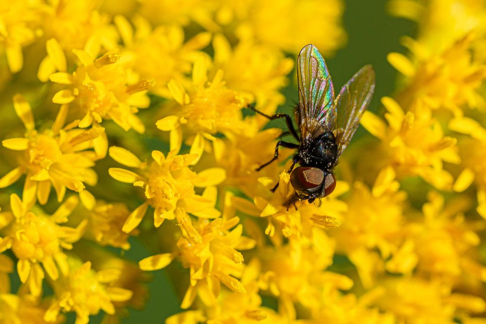 Photograph by Valdis Serzhans