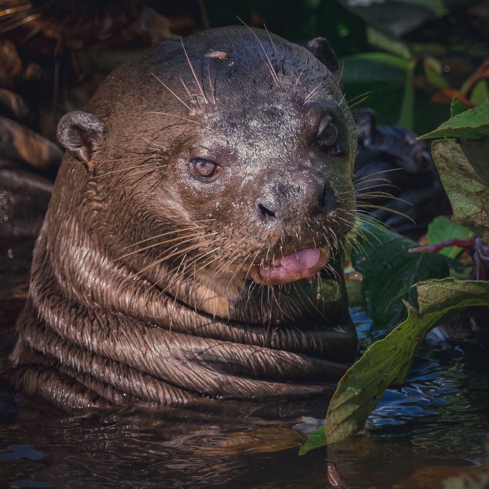 Photograph by João Paulo de Oliveira Freitas