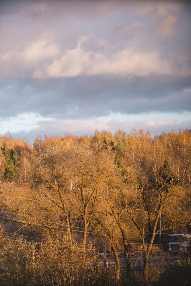 Photograph by Екатерина Степоненкова