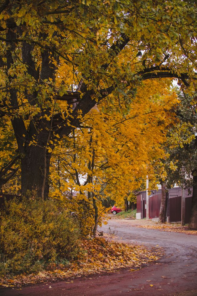 Photograph by Екатерина Степоненкова