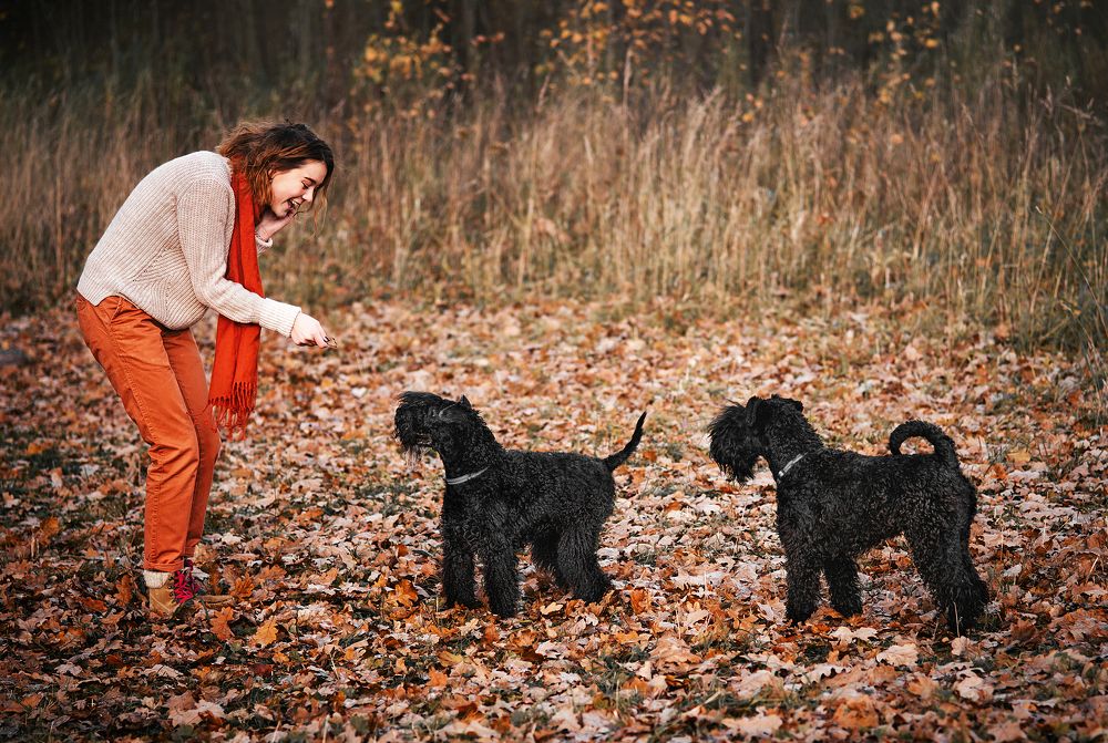 Photograph by Мария Мударгак