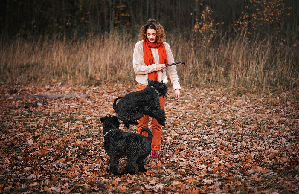 Photograph by Мария Мударгак