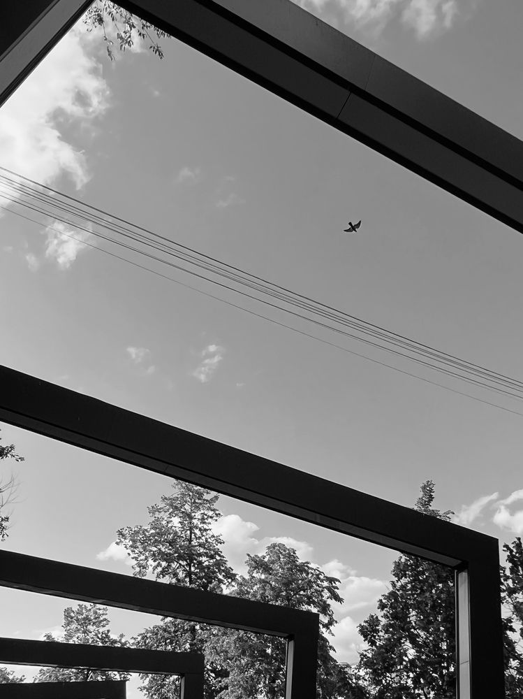 Photograph by Елена Берсенева