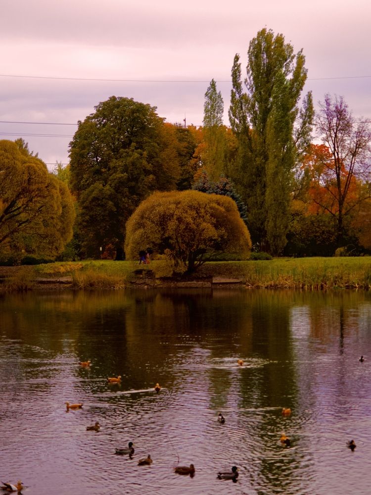 Photograph by Светлана Георкова