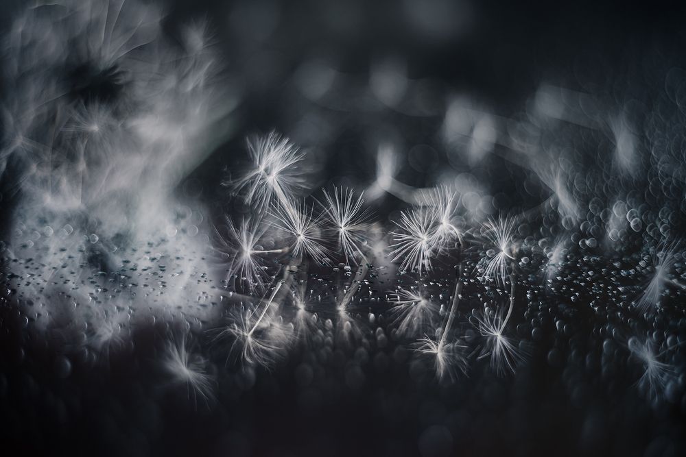 Photograph by Сальников Евгений