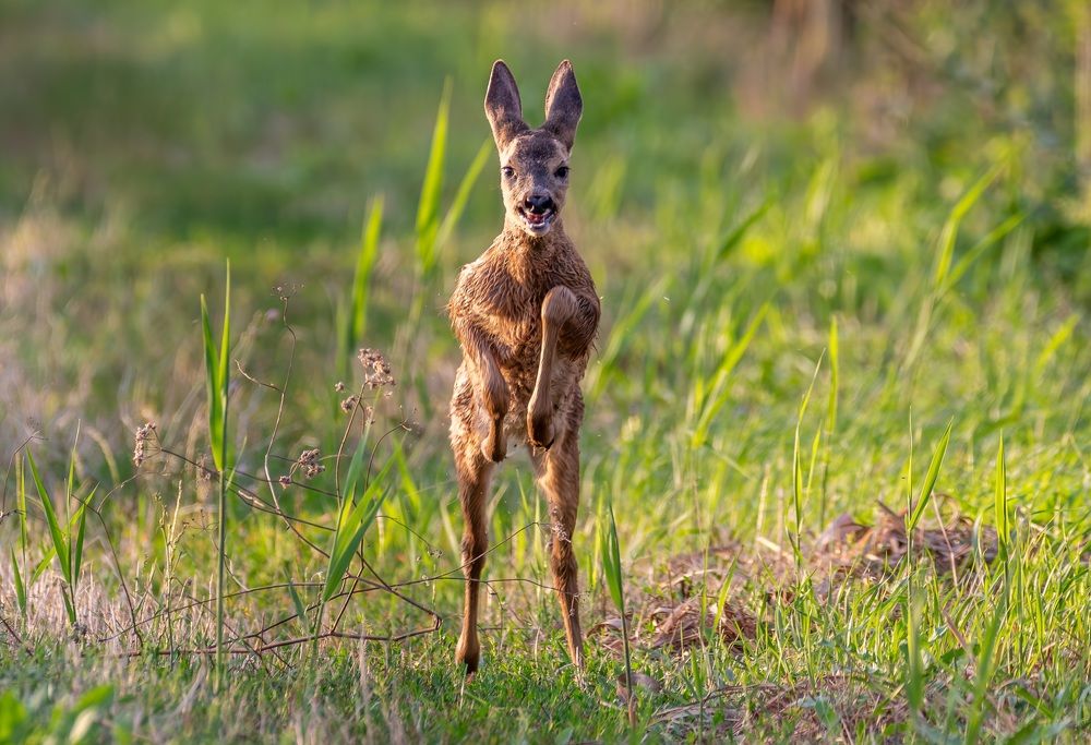Photograph by George Alexandru Ghiuro