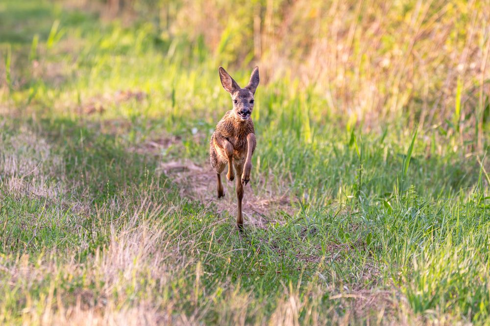 Photograph by George Alexandru Ghiuro
