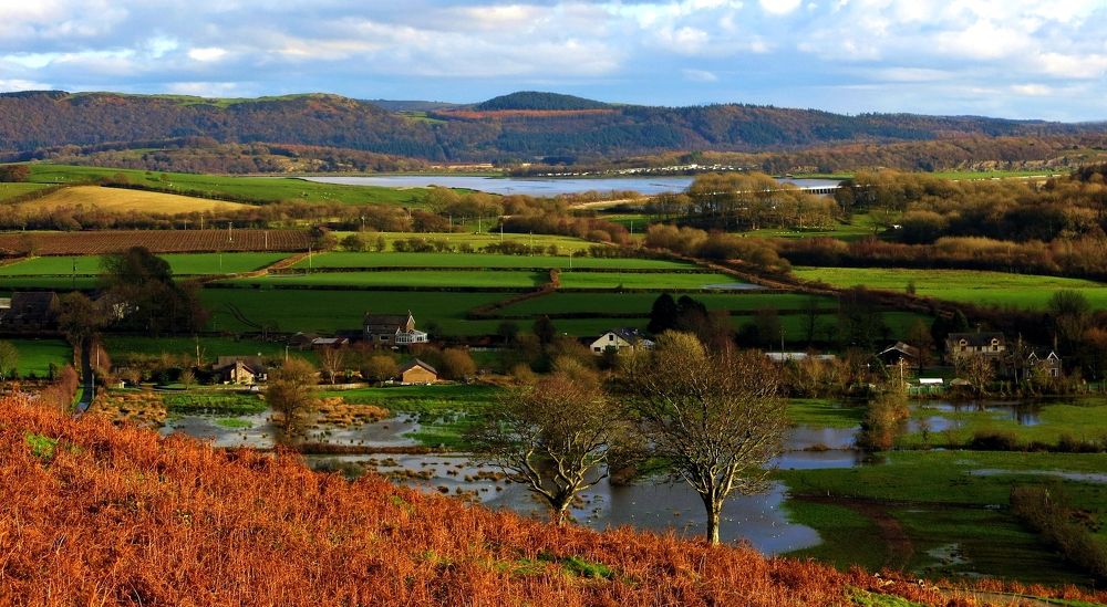 Photograph by Viviana García