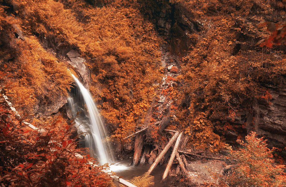 Фотография автора Виктория Шаманова