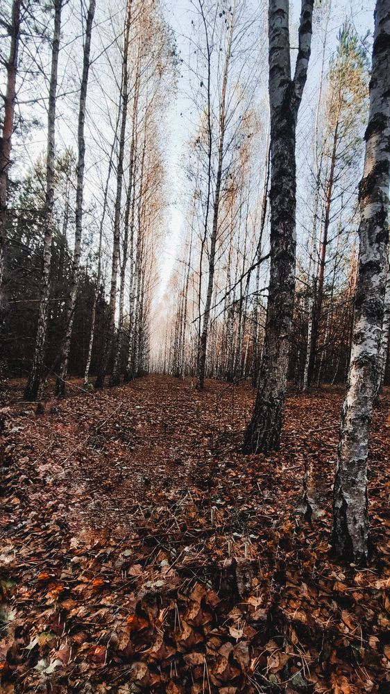 Photograph by Глушакова Татьяна Николаевна