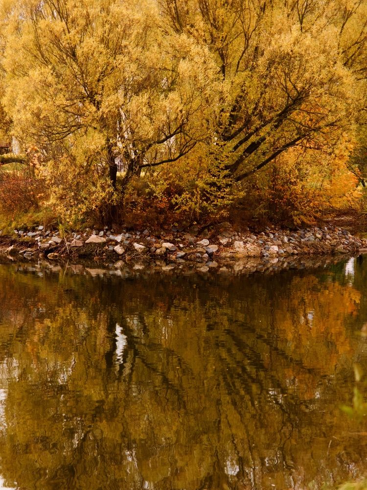 Photograph by Светлана Георкова