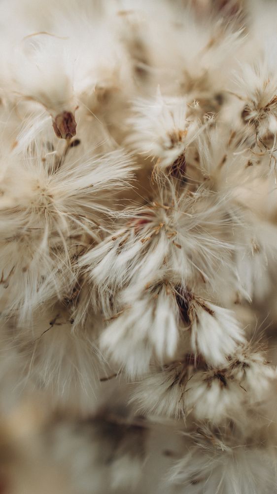 Photograph by Наталья Карякина