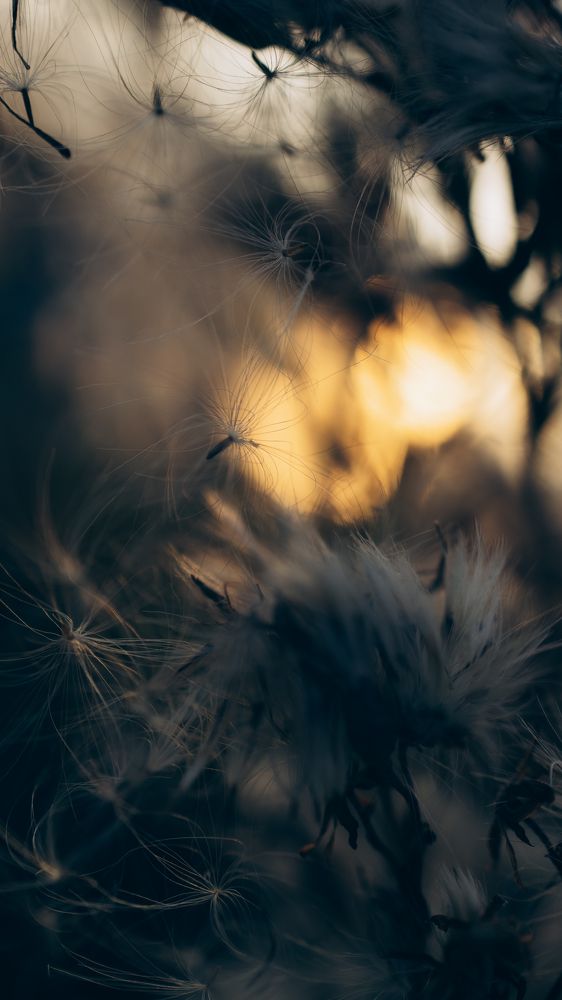 Photograph by Наталья Карякина