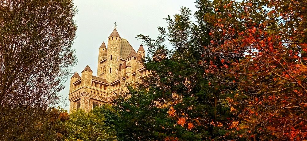 Фотография автора Mahdi Mohammadi