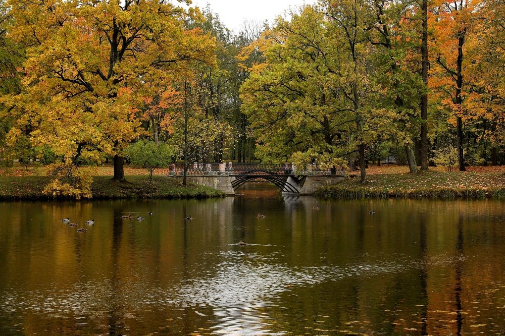 Рисует осень