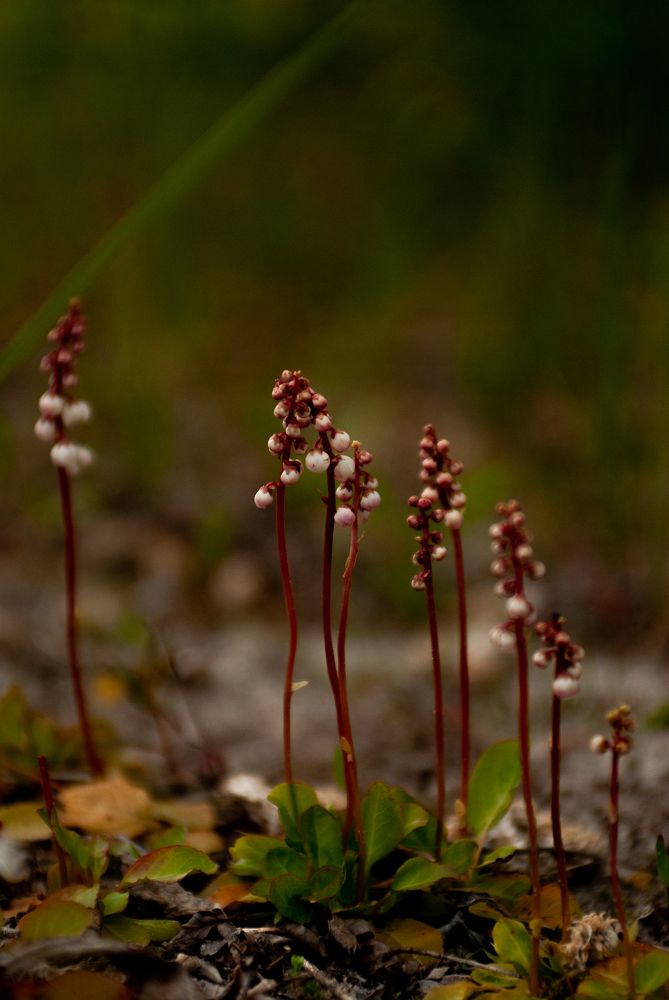 Photograph by Ольга Радько