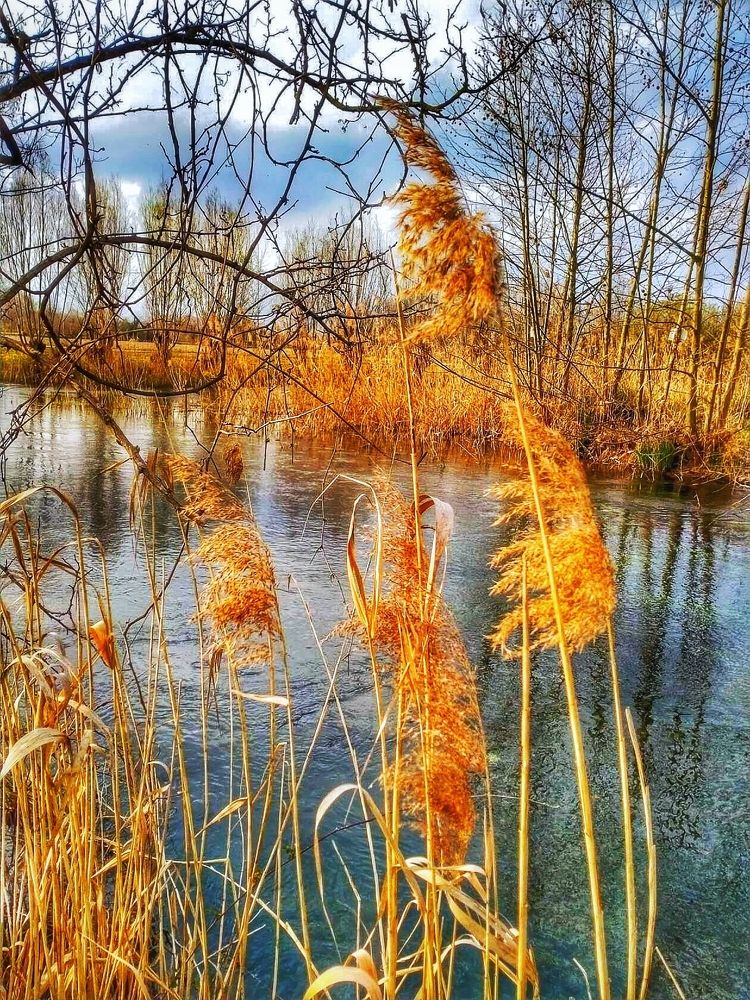 Photograph by Елена Егорова