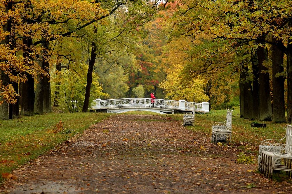 Мимолётное