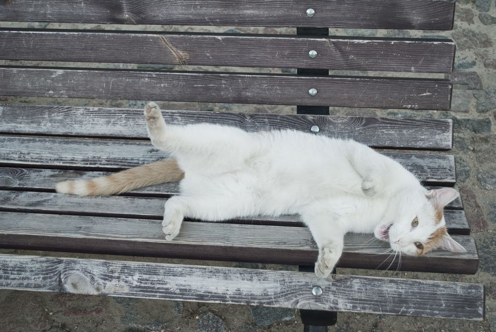 Photograph by Лилия Кондратьева