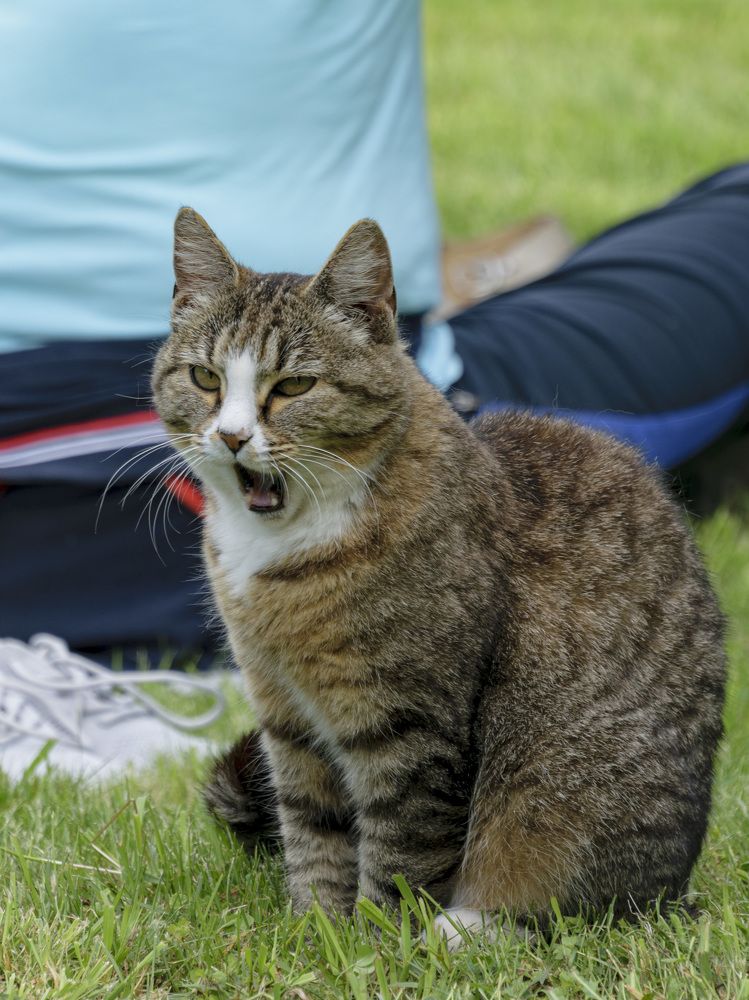 Photograph by Лилия Кондратьева