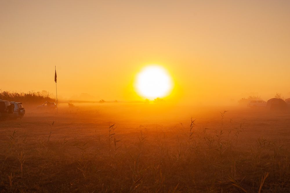 Фотография автора Елена Ефименко