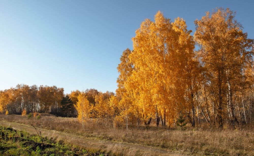 Photograph by Валерий Туманов